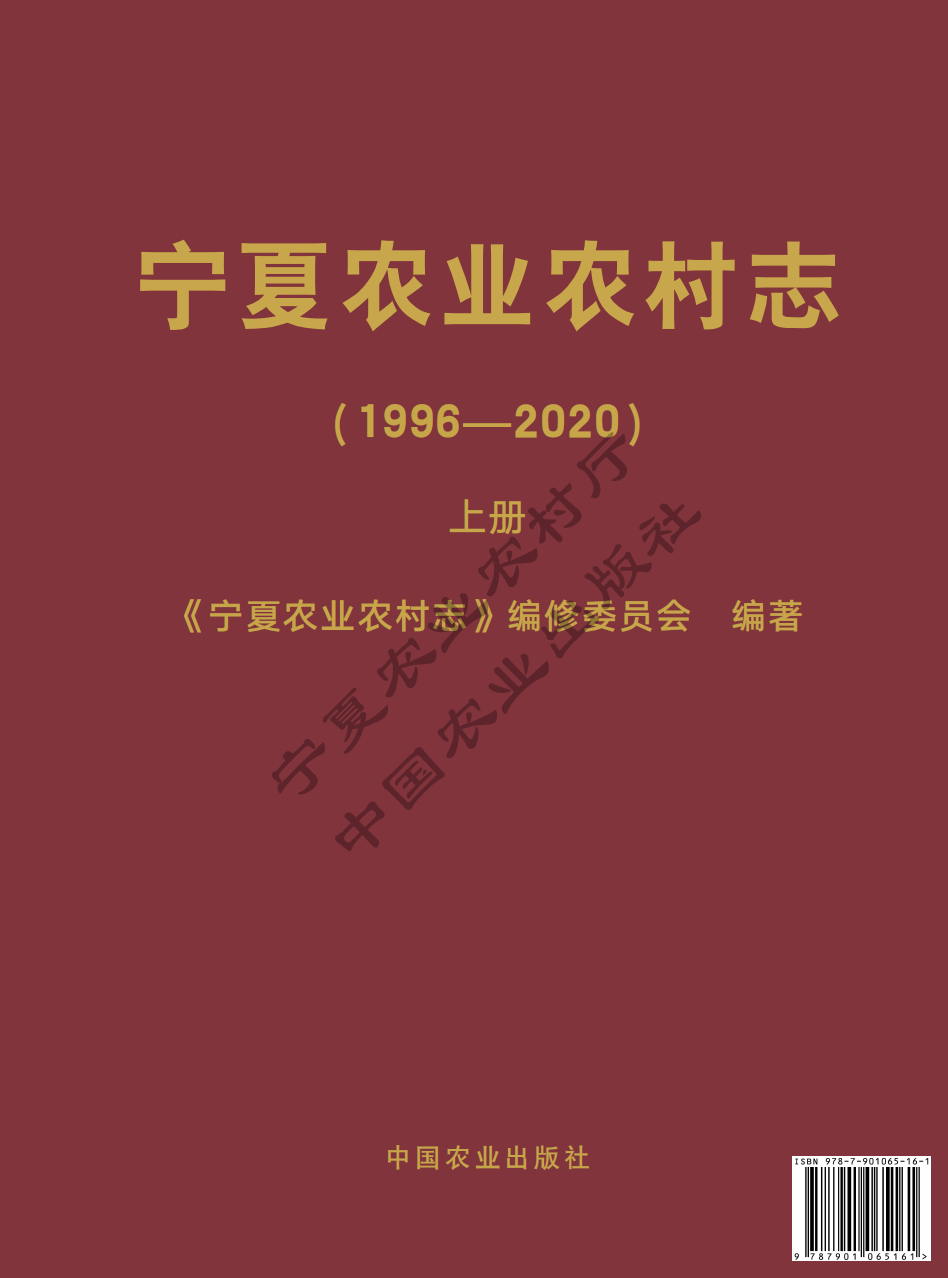 拉斯维加斯娱乐城志（1996-2020）上册