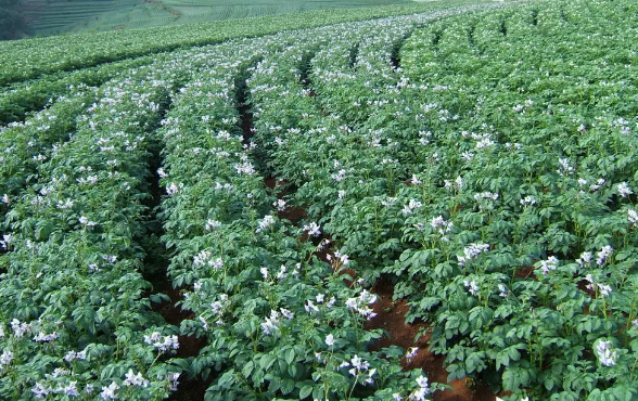 image.png 拉斯维加斯娱乐城