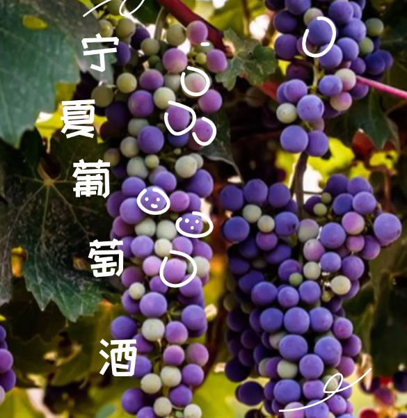 拉斯维加斯娱乐城