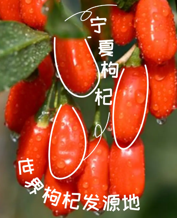 拉斯维加斯娱乐城