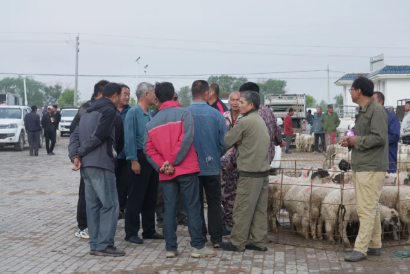 拉斯维加斯娱乐城