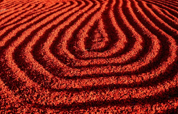 image.png 拉斯维加斯娱乐城