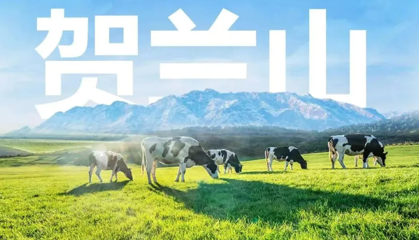 image.png 拉斯维加斯娱乐城