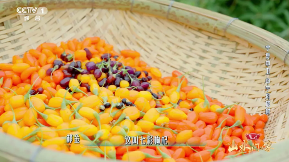 拉斯维加斯娱乐城