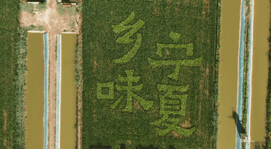 image.png 拉斯维加斯娱乐城