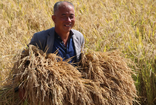 image.png 拉斯维加斯娱乐城