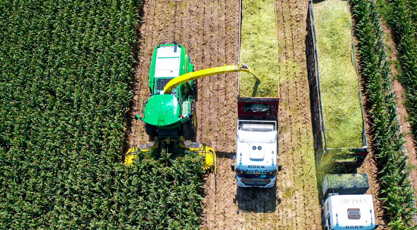 image.png 拉斯维加斯娱乐城