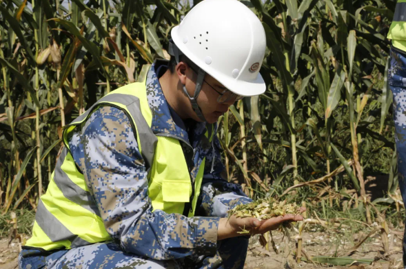 image.png 拉斯维加斯娱乐城