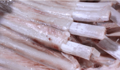 image.png 拉斯维加斯娱乐城