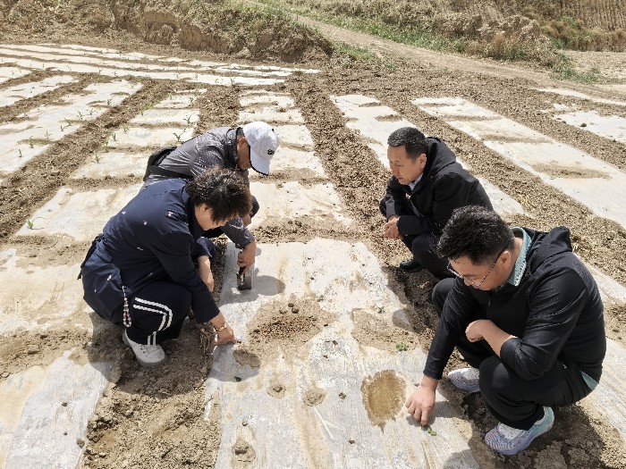 抗旱服务.jpg 拉斯维加斯娱乐城